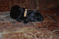 /album/fotogalerie/a130622-okrova-023a-jpg/